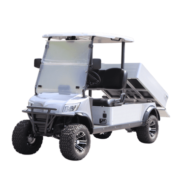 Carro Eléctrico 2 Asientos Curtiss Mobility CUM2S